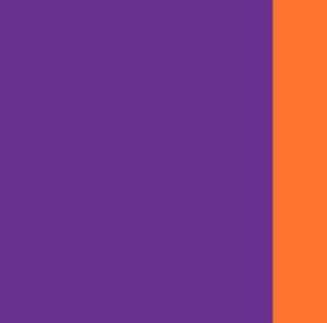 Purple/Safety Orange